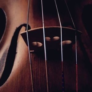 Meet your Posher, Babbs